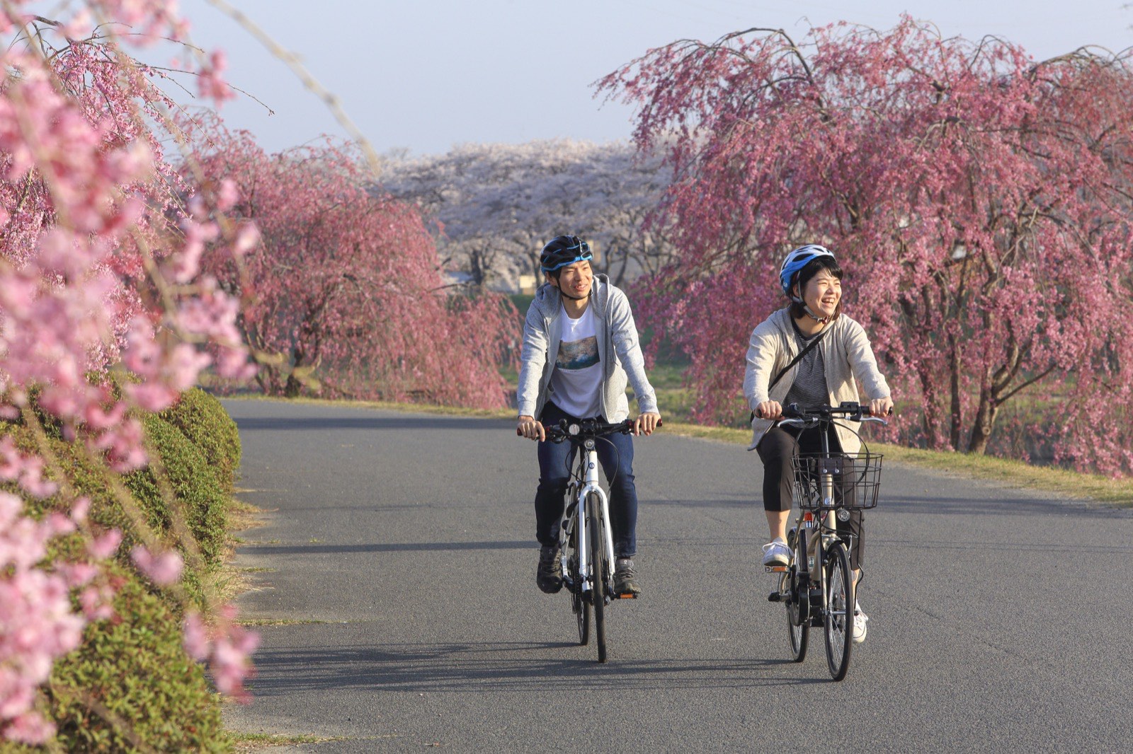 水郡線で行こう！久慈川サイクリング2025春